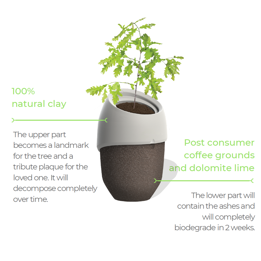 Material of ROOTS eco tree urn funeral biodegradable cremation urn