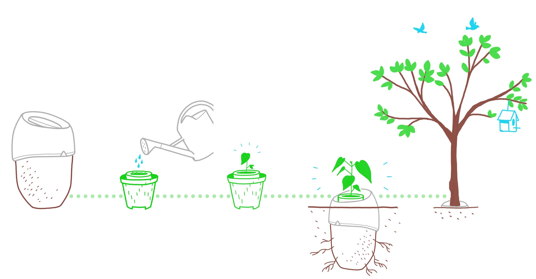 Picture of the way to use ROOTS Roots instructions